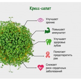 Набор для выращивания микрозелени.  КРЕСС-САЛАТ