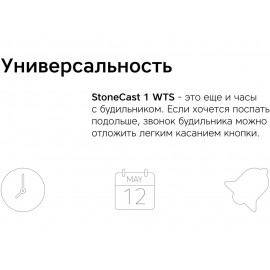 Метеостанция «StoneCast 1 WTS»