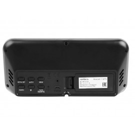 Метеостанция «BoxCast 1 WTS»